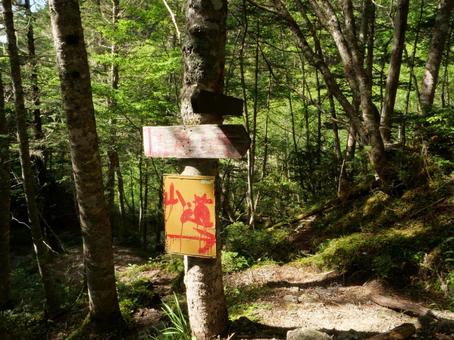 鳳凰三山のドンドコ沢登山道 鳳凰三山のドンドコ沢登山道の写真
