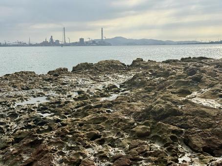 山口県彦島 竹ノ子島の磯辺 山口県彦島 竹ノ子島の磯辺の写真