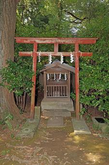 赤坂氷川神社(港) 赤坂氷川神社(港) 赤坂氷川神社,素戔嗚尊,奇稲田媛命の写真素材