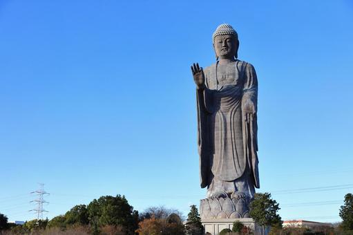 牛久大仏 仏像,青空,紅葉の写真素材