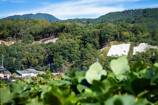 緑豊かな山あいの風景 緑豊かな山あいの風景 山,森林,自然の写真素材