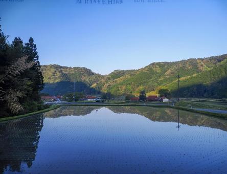 田園風景と青空 田園風景と青空 田園風景,田んぼ,植物の写真素材