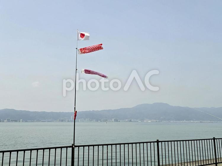 琵琶湖と鯉のぼり 琵琶湖,鯉のぼり,子供の日の写真素材