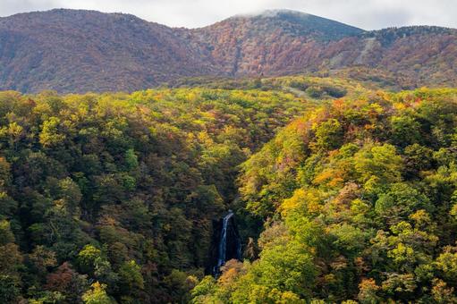 蔵王の紅葉⑿ 蔵王,紅葉,秋の写真素材
