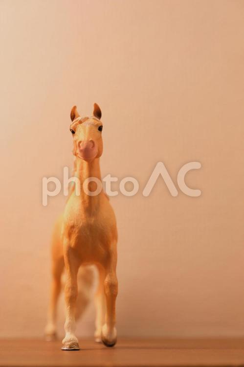 シュライヒ　正面を向いている茶色い馬 シュライヒ,シュライヒフィギュア,馬の写真素材