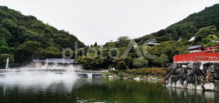 箕面　勝尾寺　だるま６ ダルマ,だるま,勝尾寺の写真素材