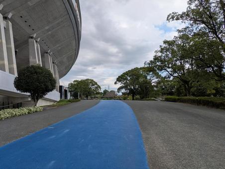 熊本運動公園 熊本運動公園 熊本,運動公園,熊本運動公園の写真素材