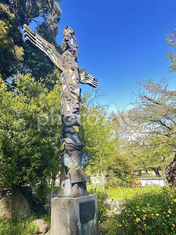 上野恩賜公園　台東区　早朝の公園 上野恩賜公園,上野公園,台東区の写真素材