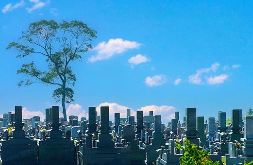 霊園の空 霊園の空の写真