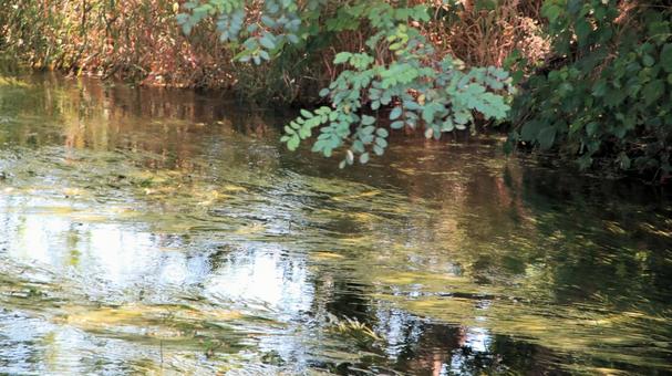 夏の安曇野 田園地帯を流れる清らかな流れ 夏の安曇野 田園地帯を流れる清らかな流れ 安曇野市,夏,清流の写真素材