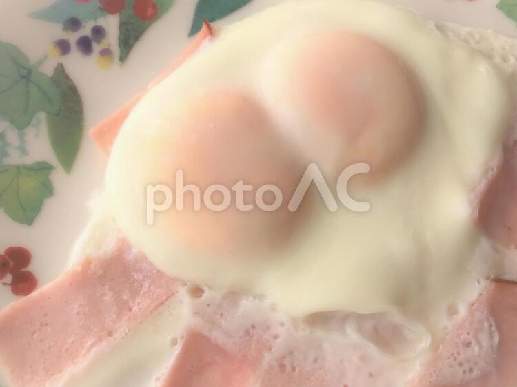 双子の目玉焼きハムエッグ 目玉焼き,双子,ハムエッグの写真素材