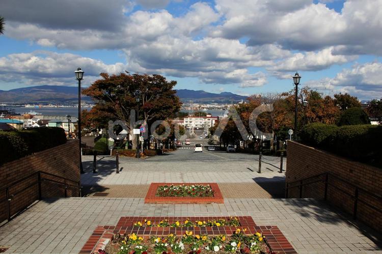 函館元町公園の美しい花壇と街並み 屋外,晴れ,函館の写真素材