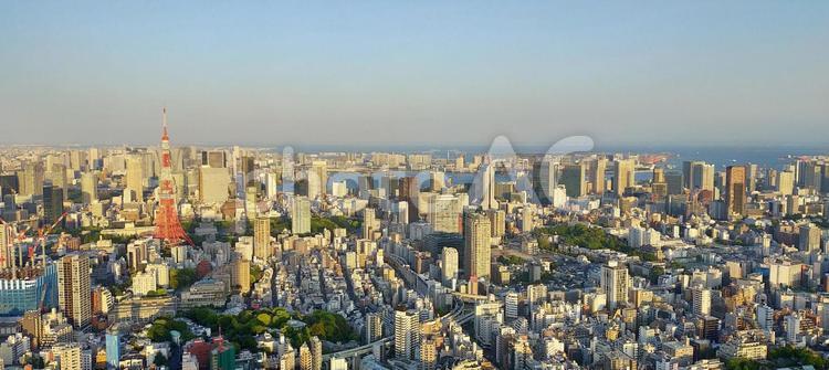 東京タワー遠望（広角・左寄せ・陸多し） 東京タワー,遠望,摩天楼の写真素材