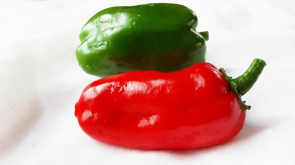 赤ピーマン緑ピーマン・2 赤ピーマン緑ピーマン・2 ピーマン,野菜,フレッシュの写真素材