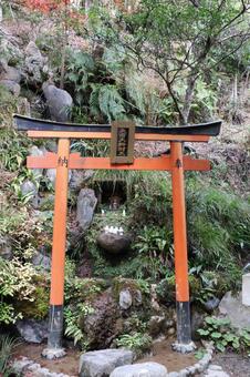 愛宕念仏寺　天河大弁財天 愛宕念仏寺,愛宕寺,天河大弁財天の写真素材