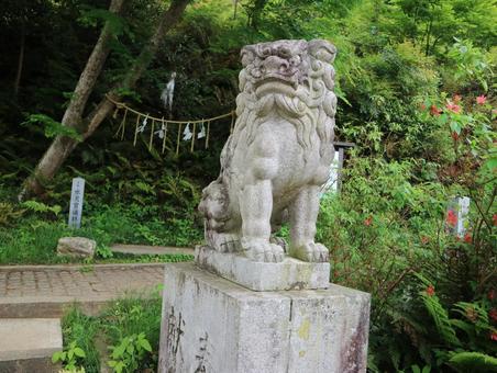 高麗神社 高麗神社の写真
