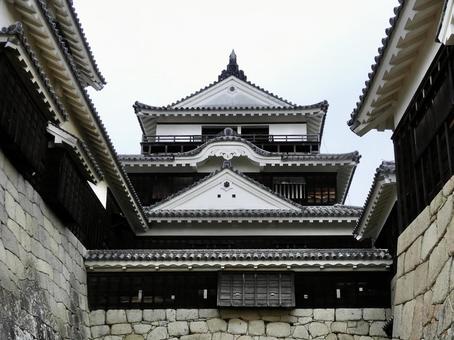 愛媛県松山城大天守 松山城,伊予松山城,天守の写真素材