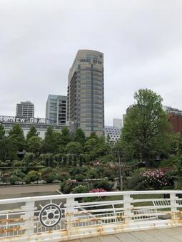 横浜の街並み 横浜の街並みの写真