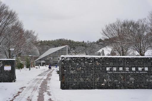 新潟県立植物園入り口 冬,雪,雪景色の写真素材