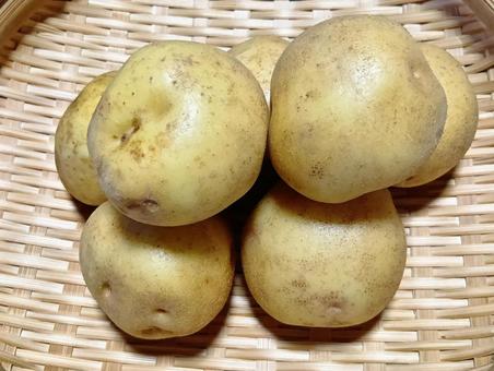 ジャガイモ ジャガイモ ジャガイモ,じゃがいも,芋の写真素材