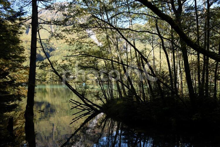 上高地 上高地,長野県,梓川の写真素材