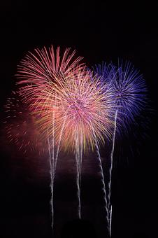 25年長岡まつり 花火 25年長岡まつり 花火の写真