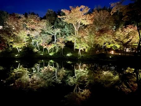 京都の夜景 京都の夜景 東寺,池,反射の写真素材