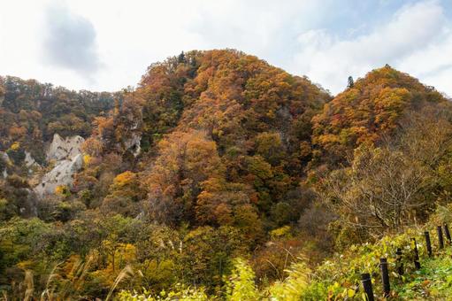 白岩の秋⑽ 秋,黄葉,日差しの写真素材