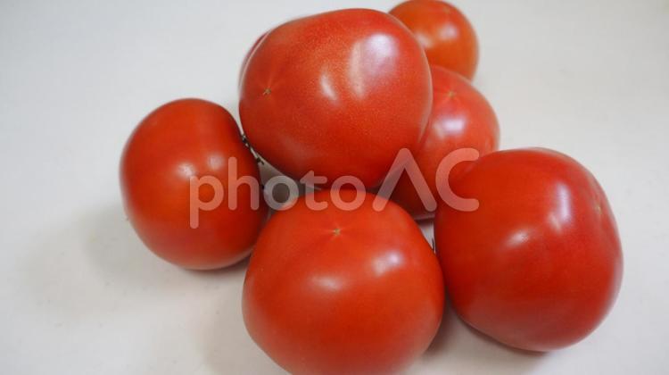 トマト トマト,野菜,実の写真素材