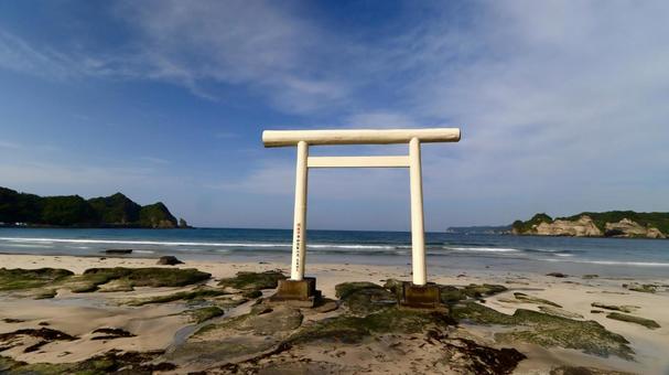 鵜原海岸 鵜原海岸の写真