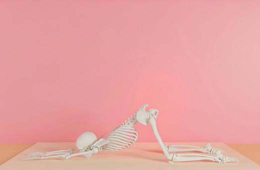 Skeleton G who decides yoga pose Skeleton G who decides yoga pose