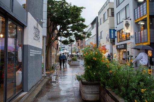 雨の原宿裏通り 原宿,裏通り,神宮前の写真素材
