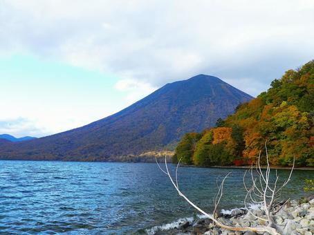 中禅寺湖湖畔から望む紅葉と男体山 中禅寺湖,湖畔,湖の写真素材