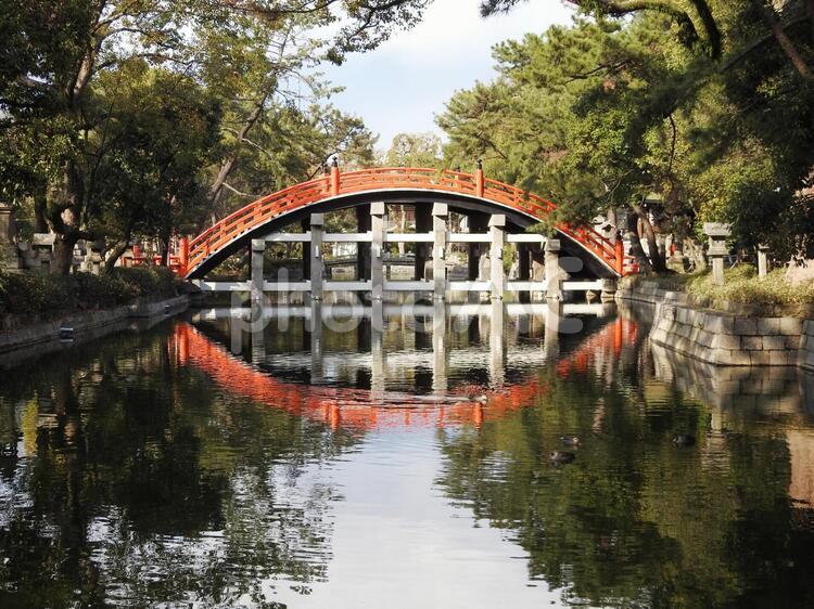 住吉大社の太鼓橋　水面に映る 太鼓橋,たいこ橋,住吉大社の写真素材