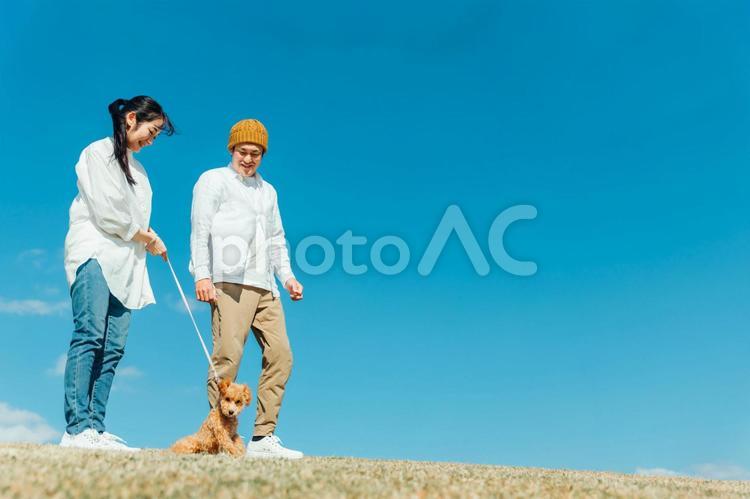 愛犬と遊ぶ男女 犬,夫婦,家族の写真素材