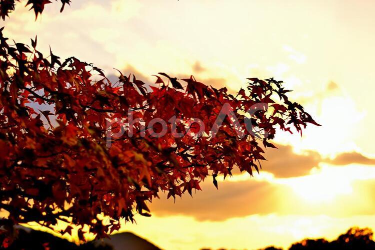 ある日の夕暮れ時 サンセット,夕日,日暮れの写真素材