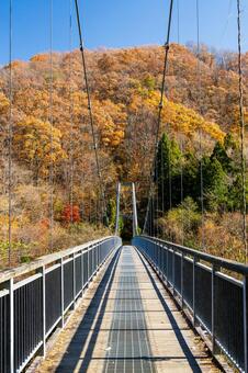晩秋のやまびこ吊橋⑵ 橋,吊り橋,やまびこ吊橋の写真素材