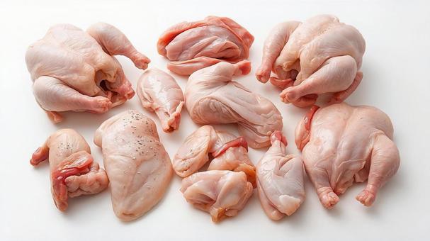 生の鶏肉 生の鶏肉の写真
