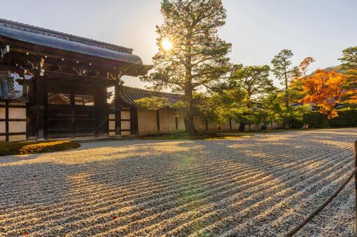 寺院の門を照らす朝の光 門,寺院,太陽の写真素材