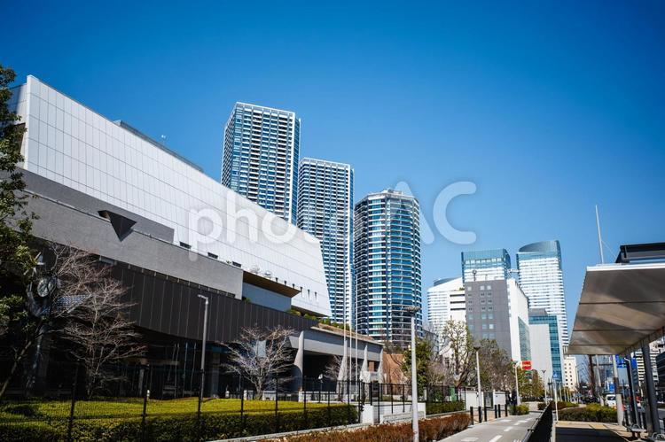 晴海の高層ビルと青空の風景 風景,晴海,東京の写真素材