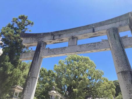 鳥居と青空と木々 鳥居と青空と木々の写真