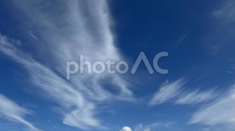 青空と白い雲 自然,空,そらの写真素材