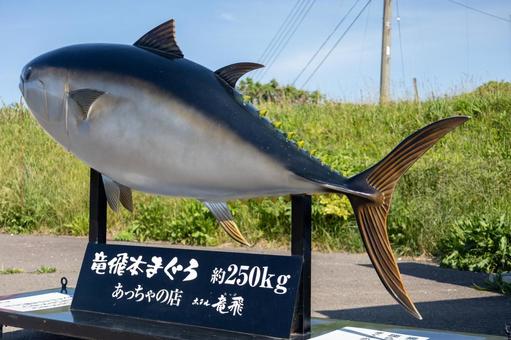 竜飛崎のマグロのモニュメント 竜飛崎のマグロのモニュメント 竜飛崎,モニュメント,海の写真素材
