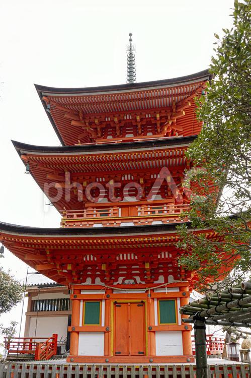  竹生島　宝厳寺　三重塔 宝厳寺,三重塔,竹生島の写真素材