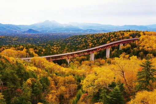 秋の三国峠 秋の三国峠 三国峠,秋,紅葉の写真素材