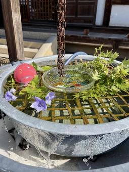 水飾り 水飾りの写真