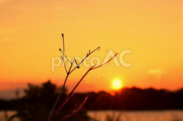 切ない雰囲気の夕焼け 夕焼け,夕空,夕暮れの写真素材