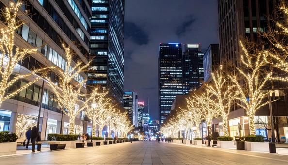 冬の街を彩るイルミネーション並木道の写真