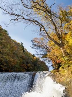 滑津大滝の秋⒁ 秋,紅葉,川の写真素材