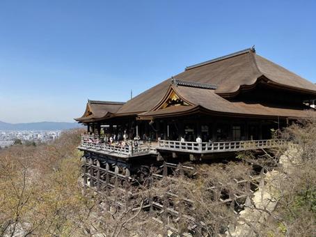 清水寺 清水寺の写真
